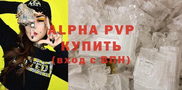 стафф Алзамай