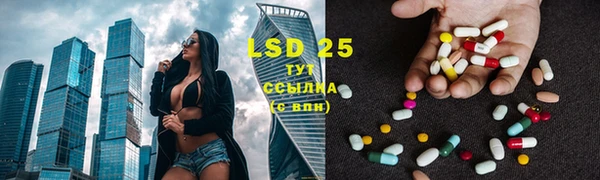 прущие грибы Абдулино